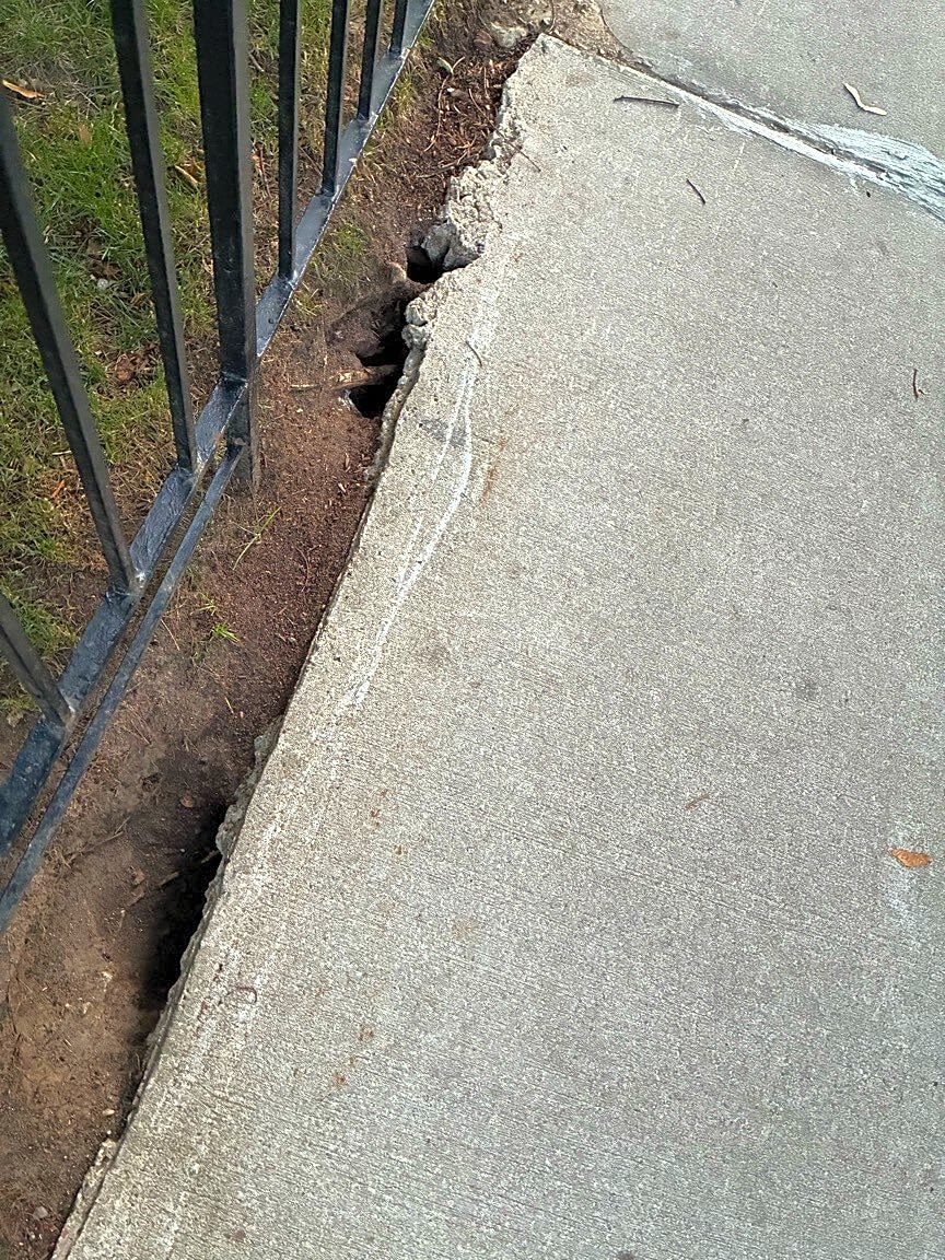 Image submitted with report