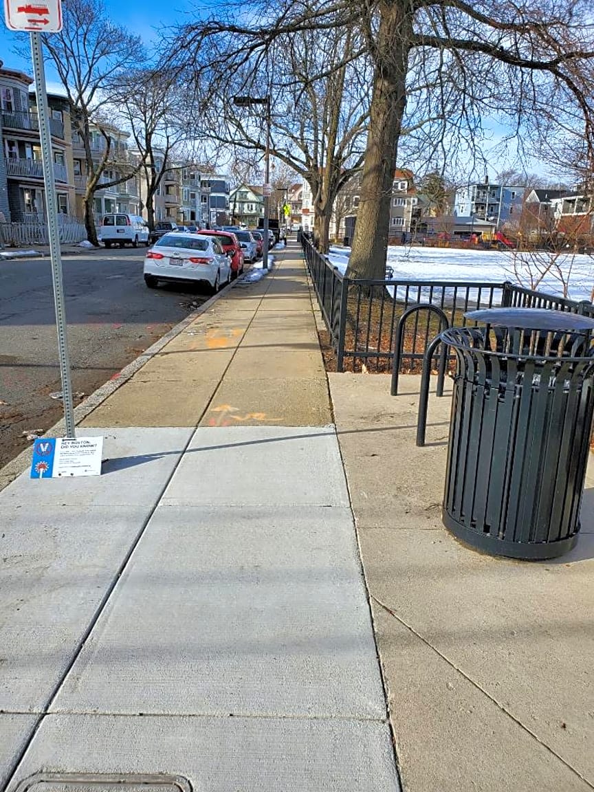 Image submitted with report