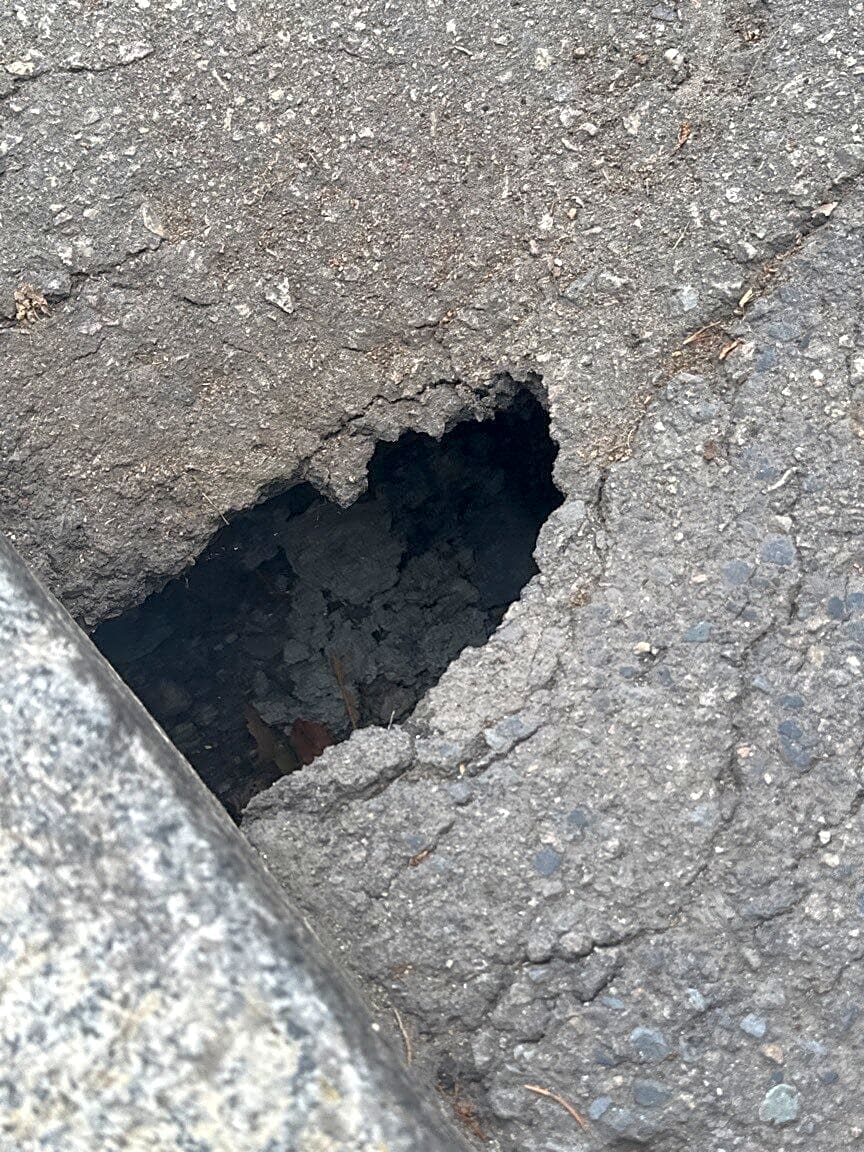 Image submitted with report