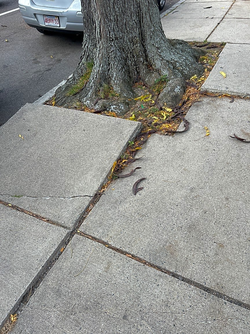 Image submitted with report