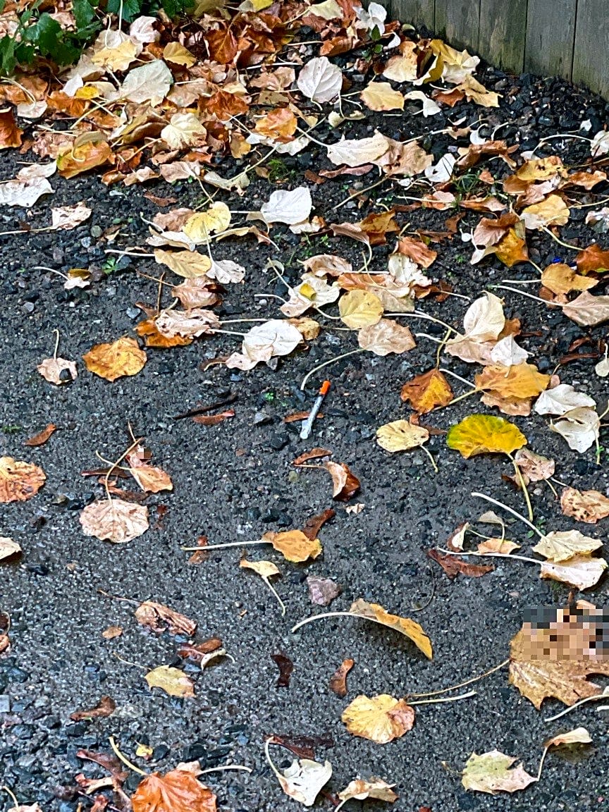 Image submitted with report