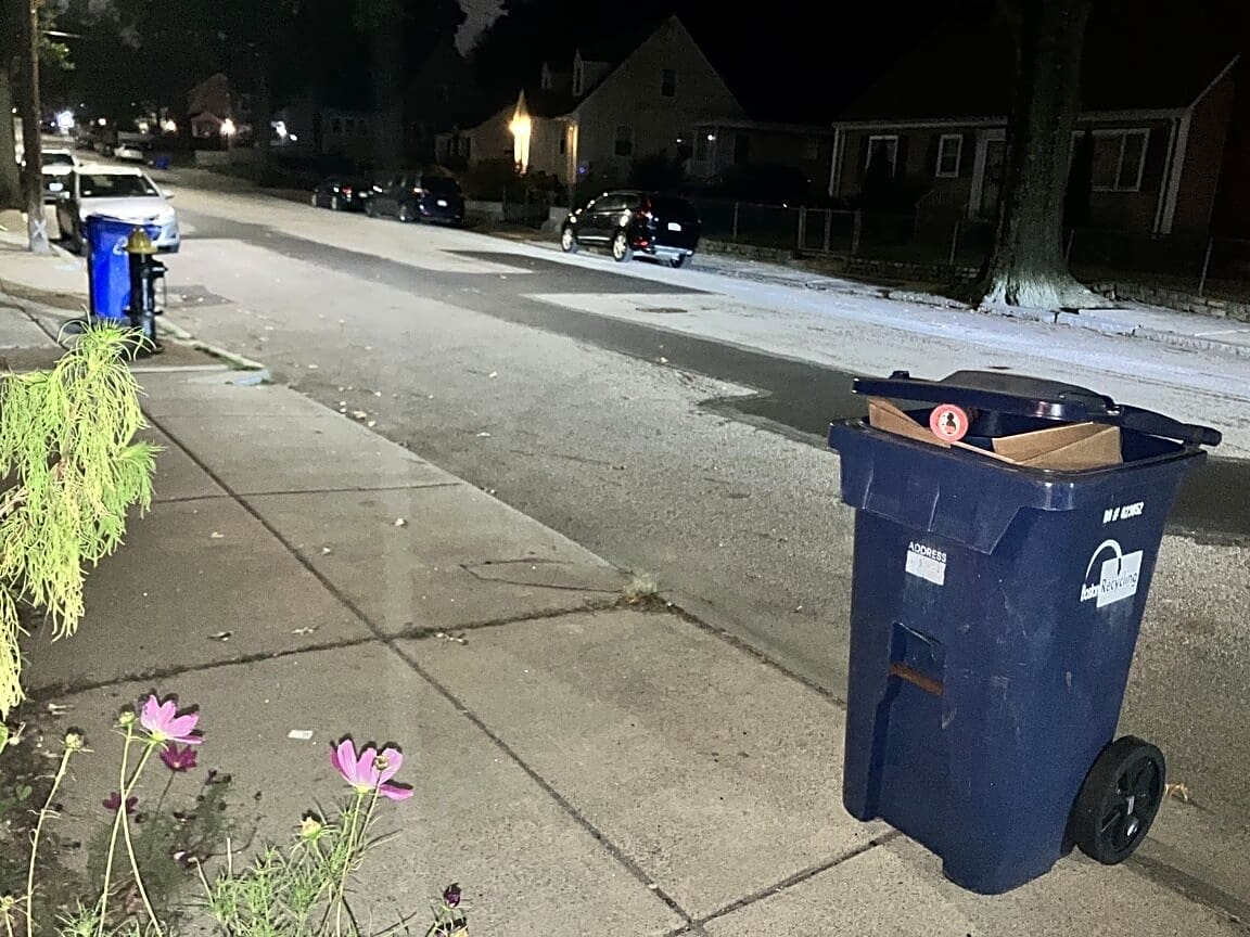 Image submitted with report