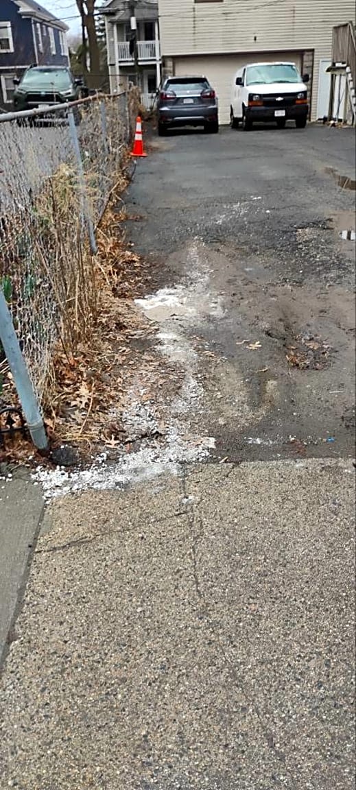 Image submitted with report