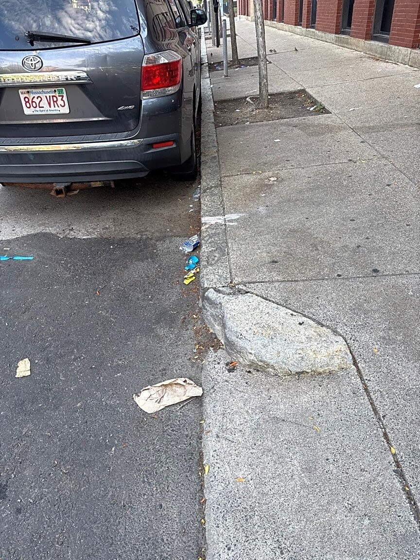Image submitted with report