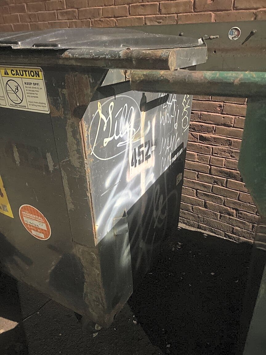Image submitted with report