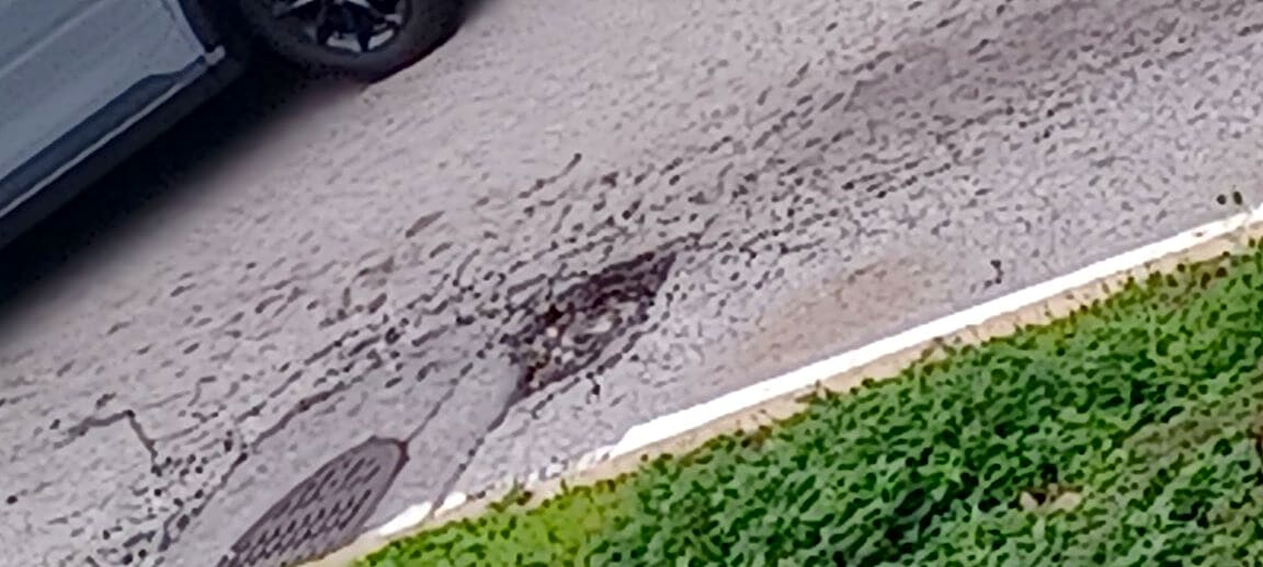 Image submitted with report