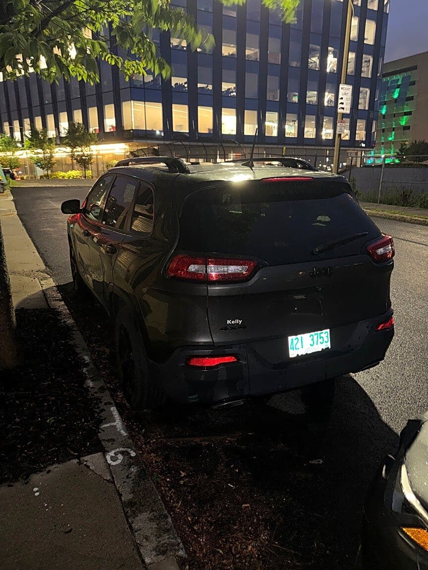 Image submitted with report