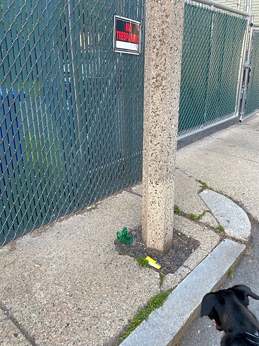 Image submitted with report