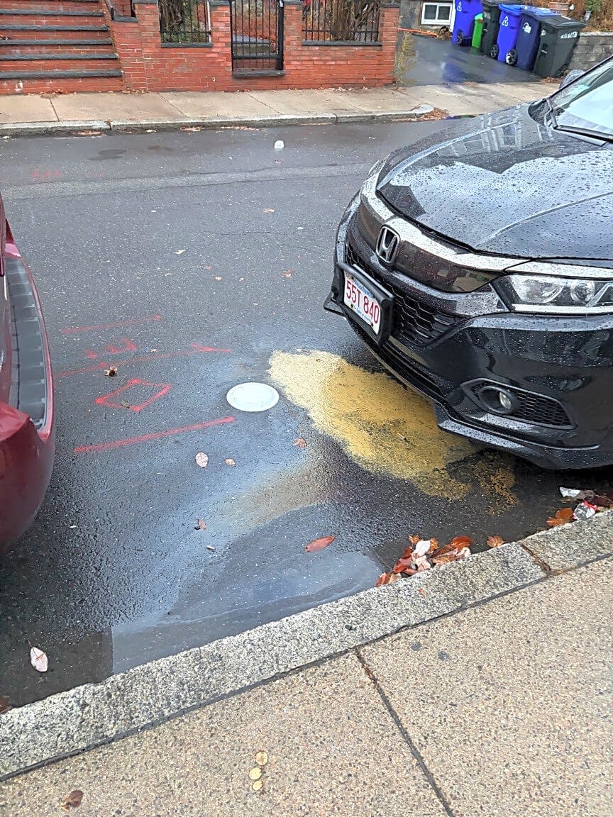 Image submitted with report