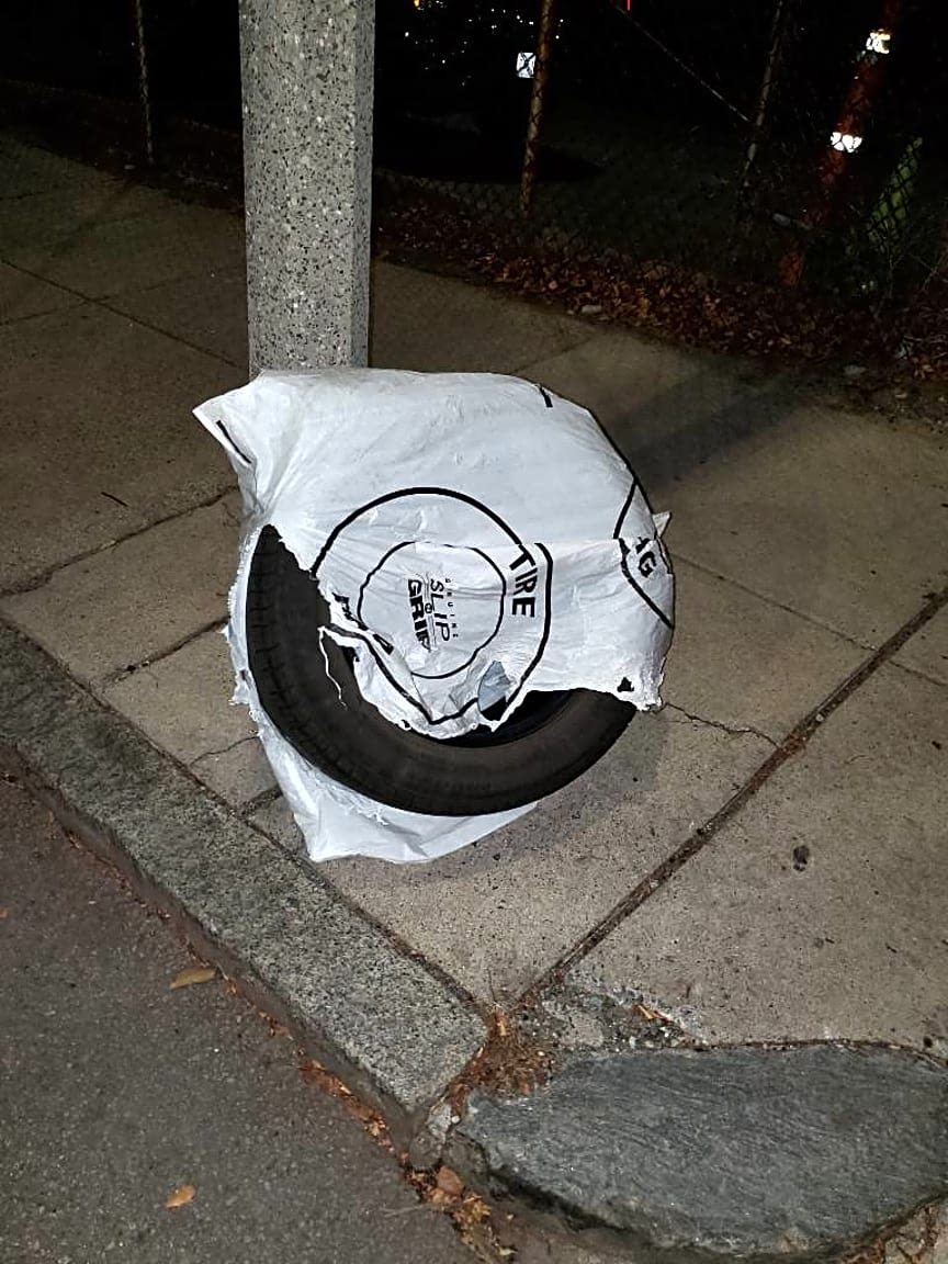 Image submitted with report