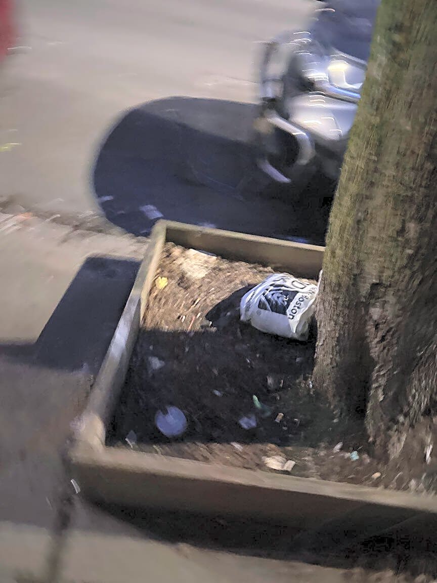 Image submitted with report