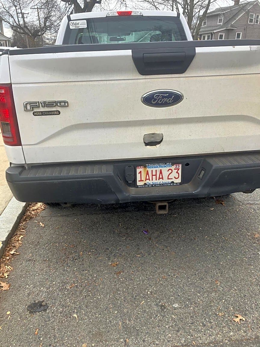 Image submitted with report