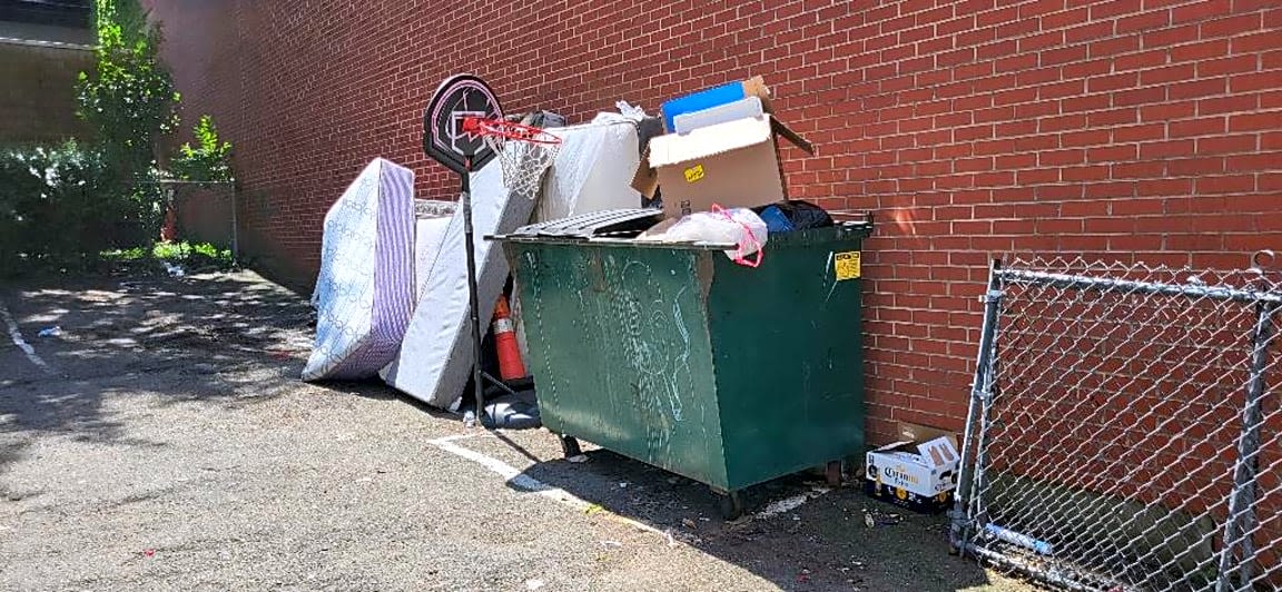 Image submitted with report