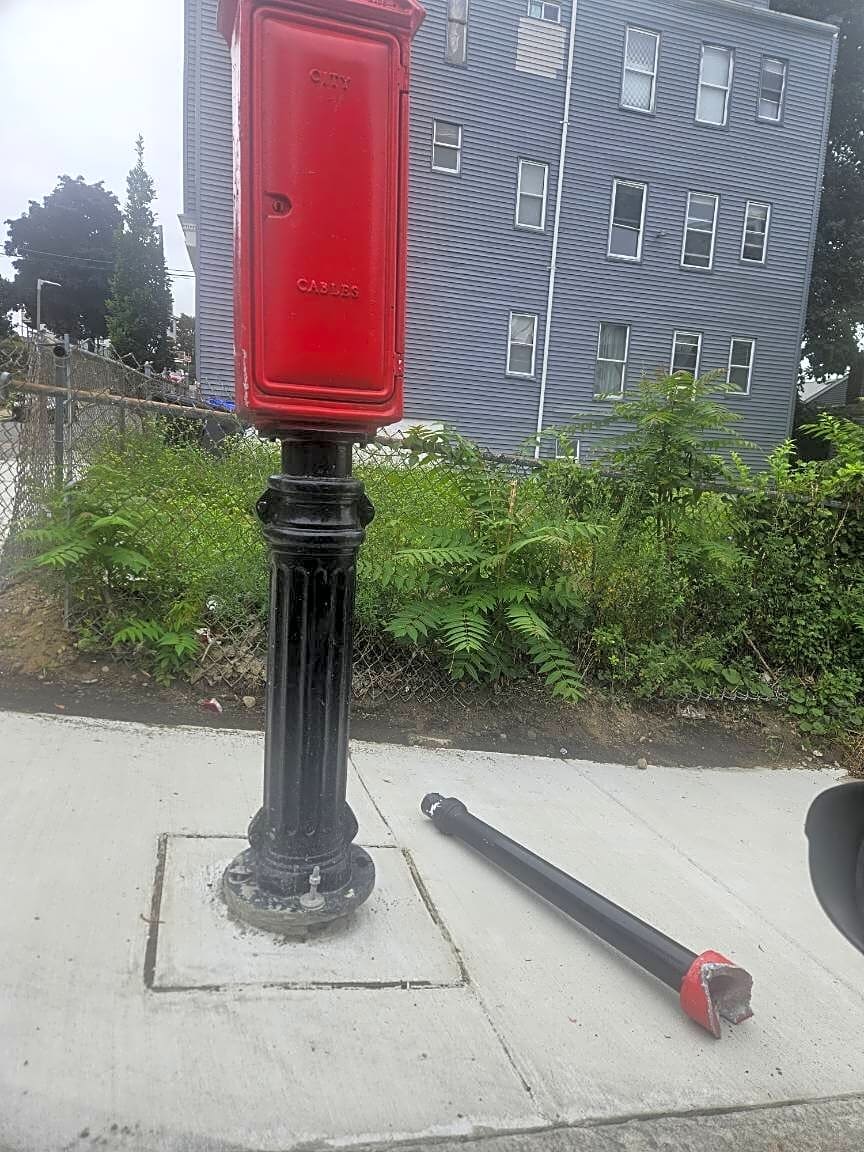 Image submitted with report