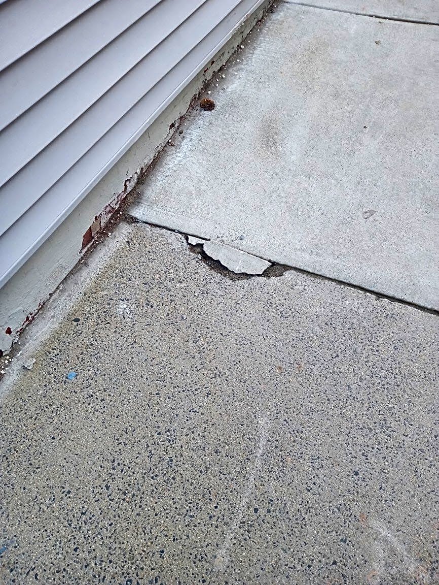 Image submitted with report