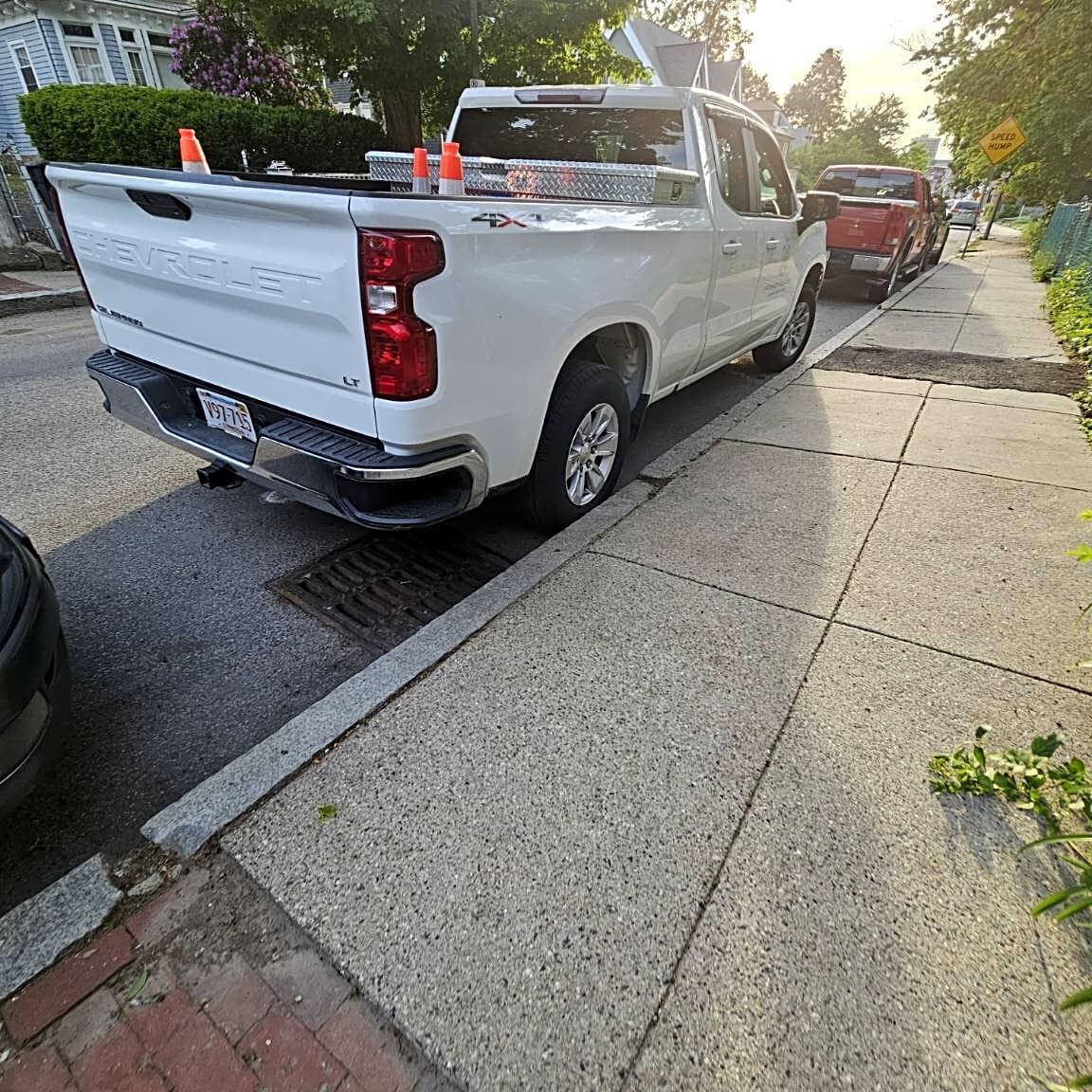 Image submitted with report