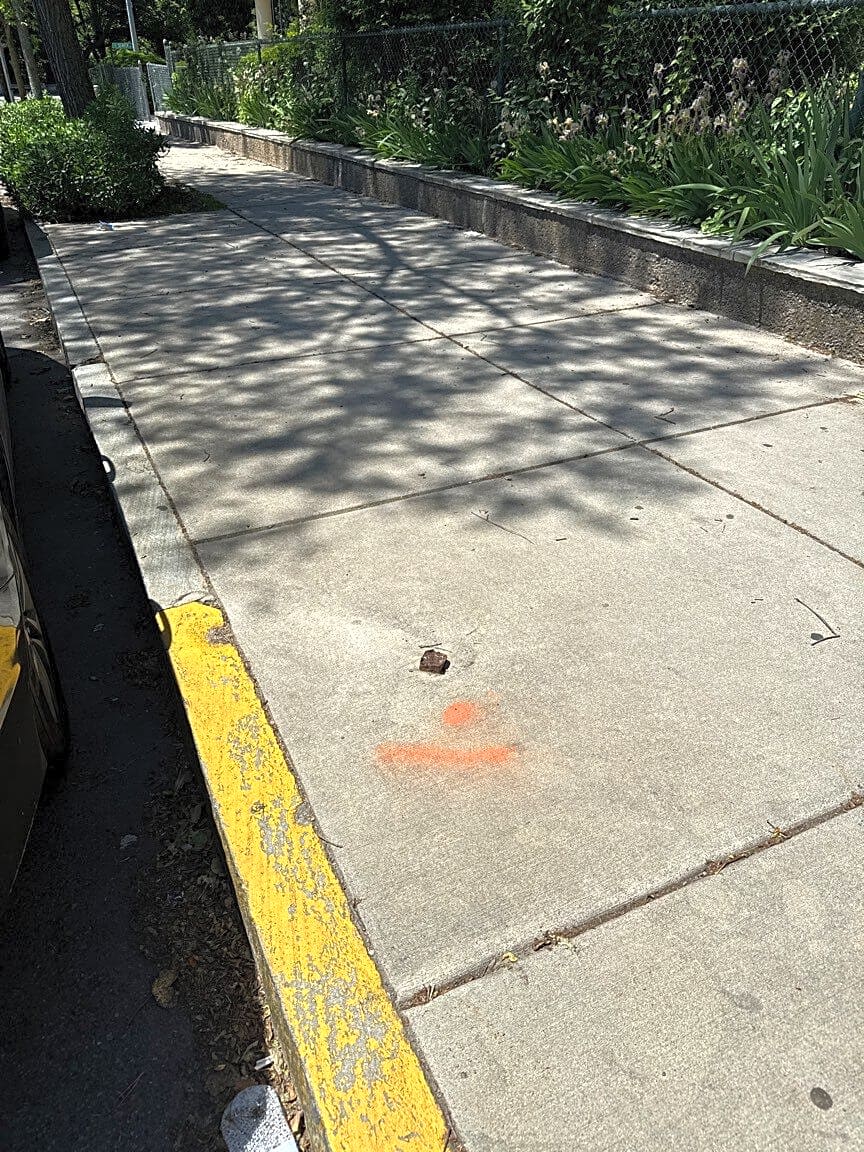 Image submitted with report