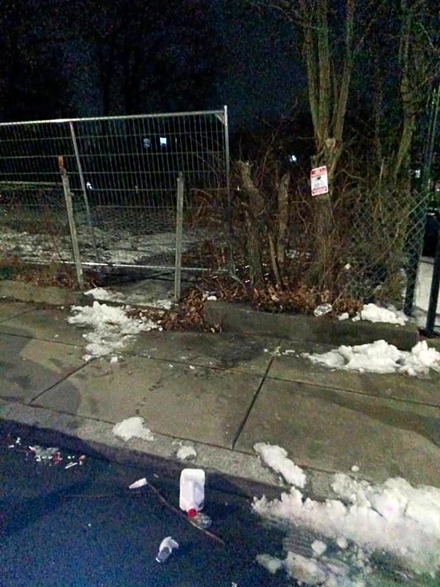 Image submitted with report