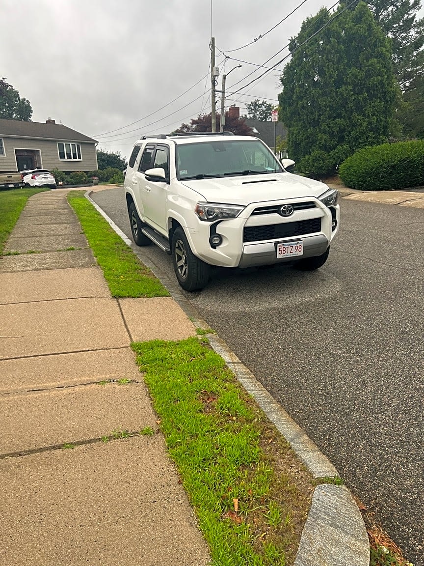 Image submitted with report