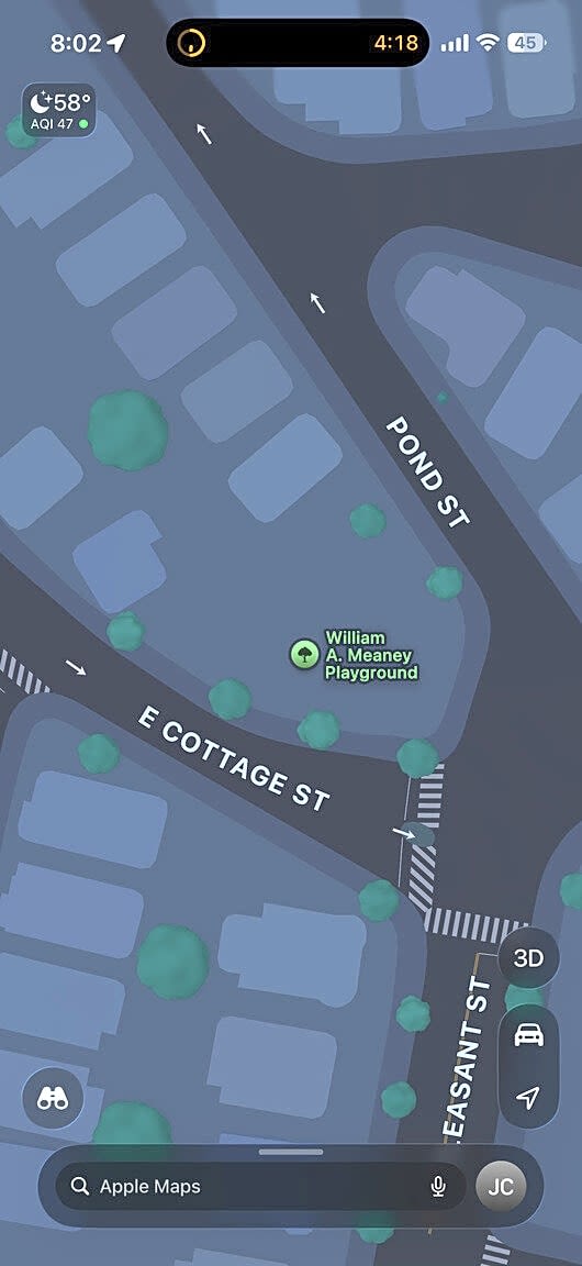 Image submitted with report