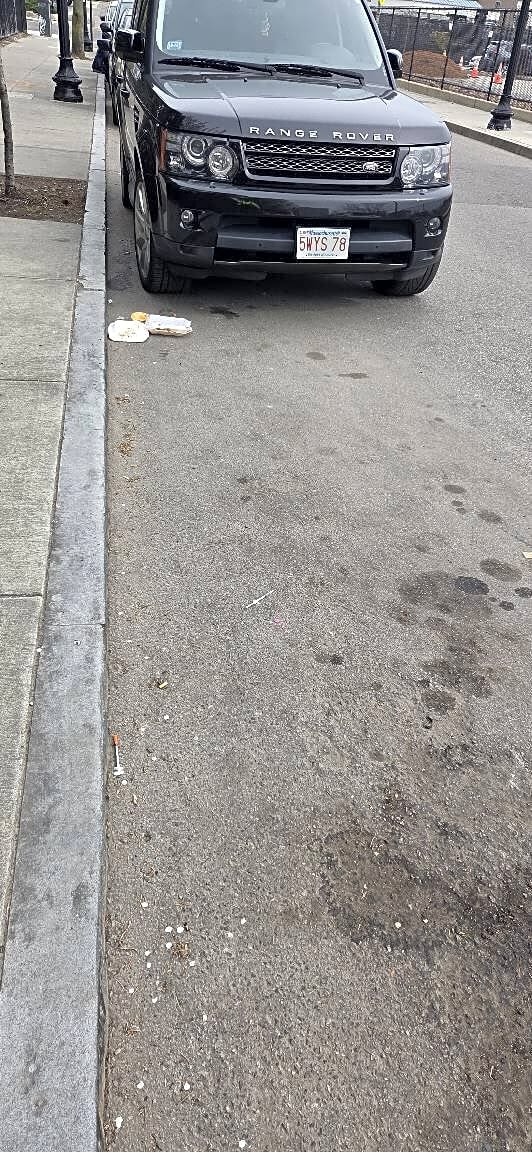 Image submitted with report