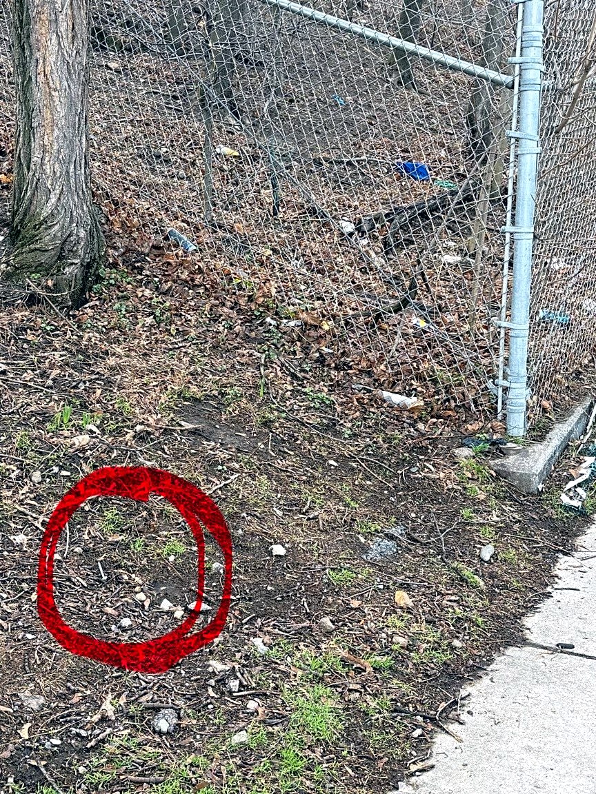 Image submitted with report