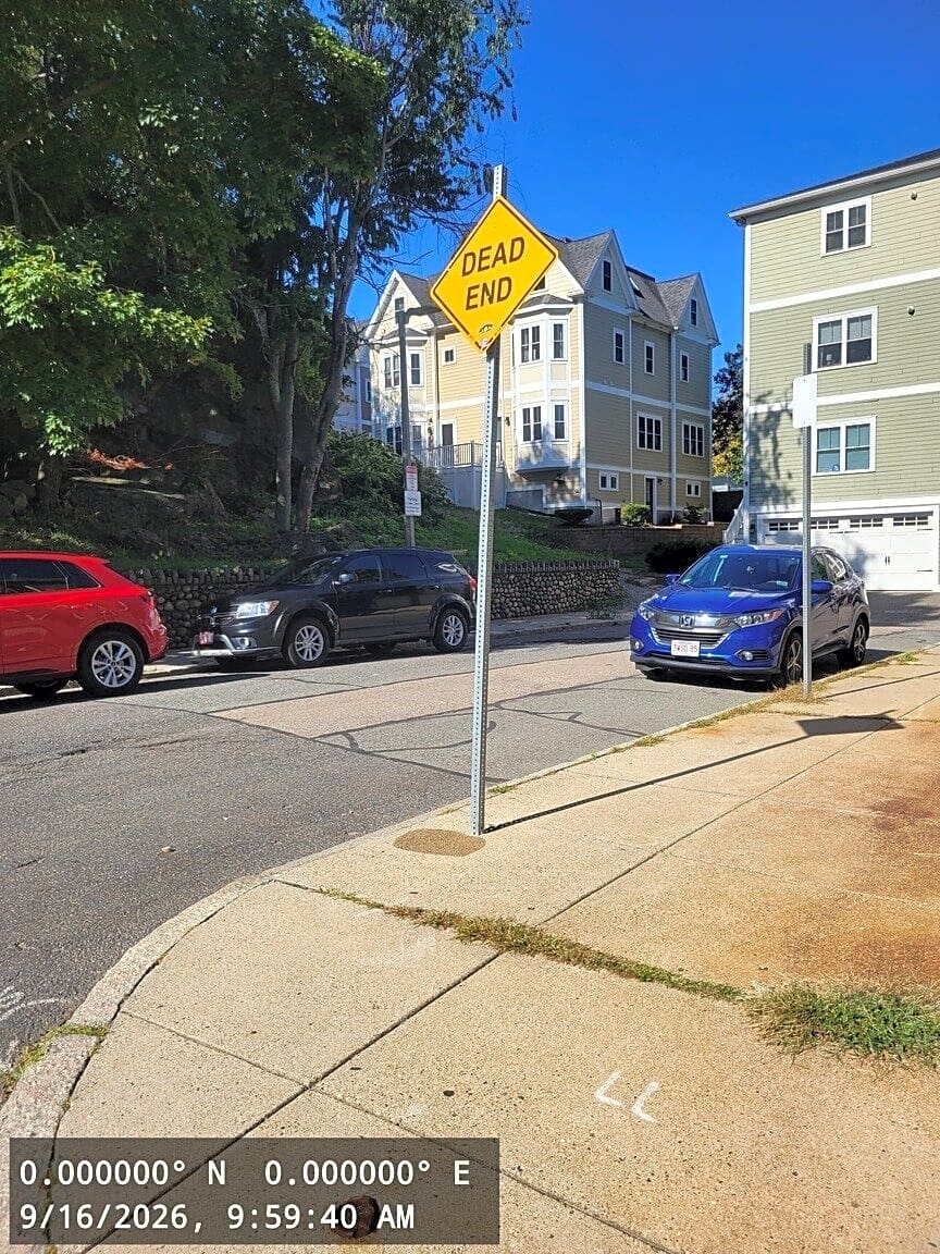 Image submitted with report