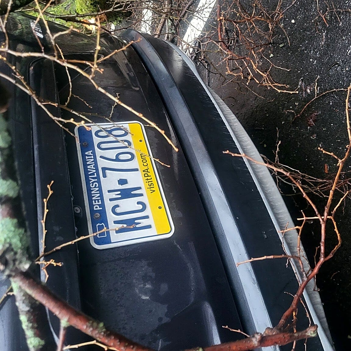 Image submitted with report