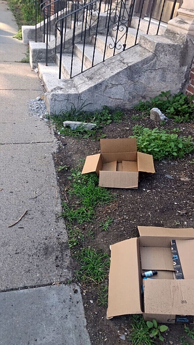 Image submitted with report