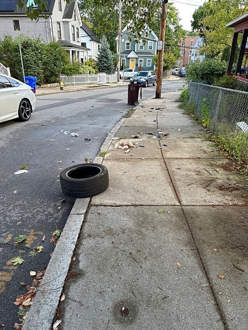 Image submitted with report