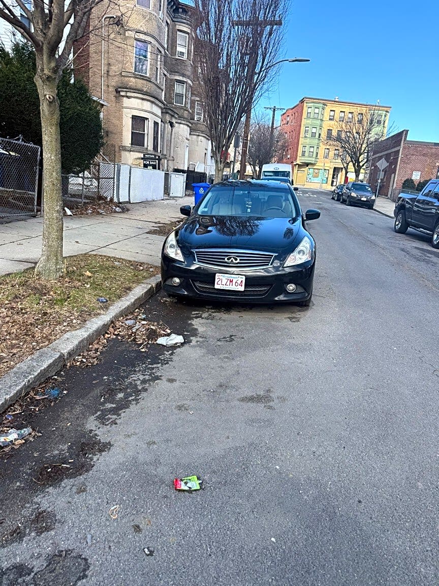 Image submitted with report