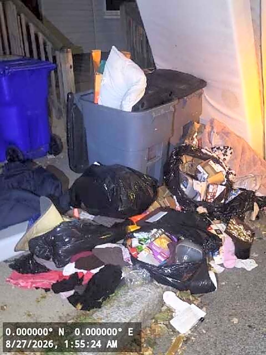 Image submitted with report