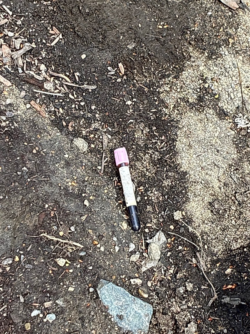 Image submitted with report