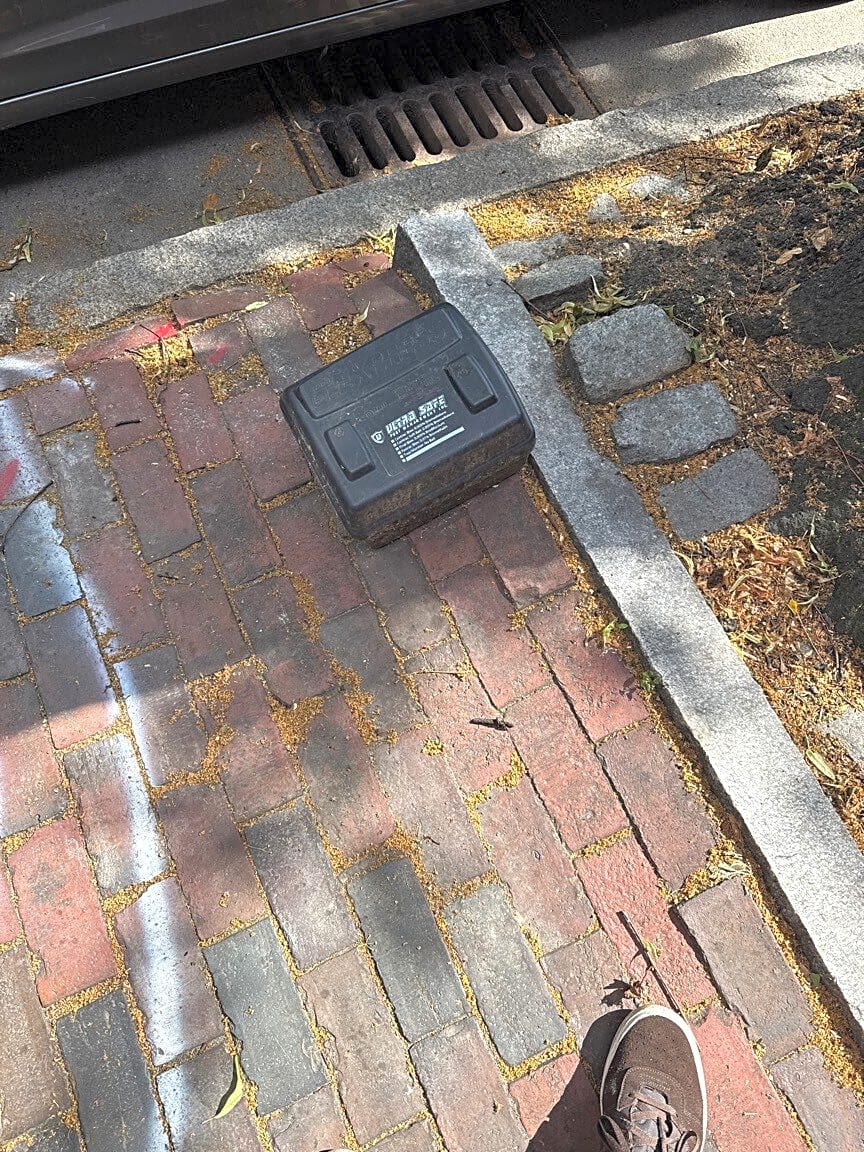 Image submitted with report