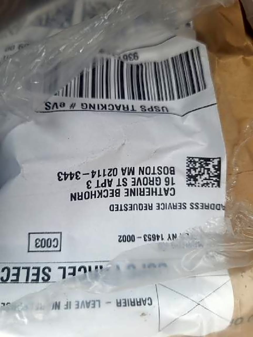 Image submitted with report