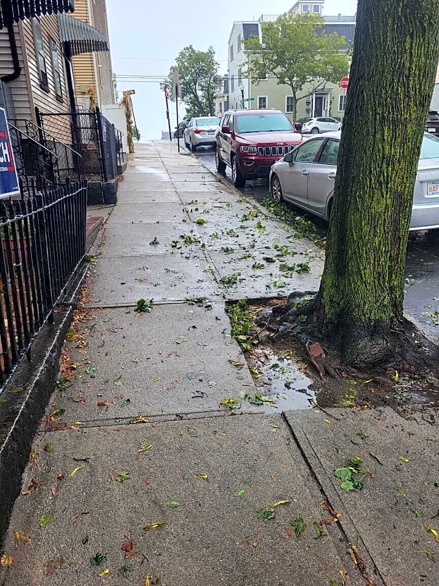 Image submitted with report