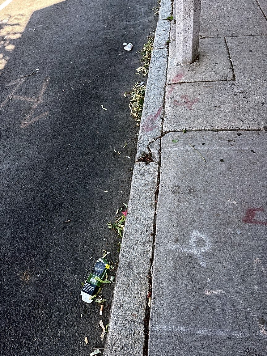 Image submitted with report