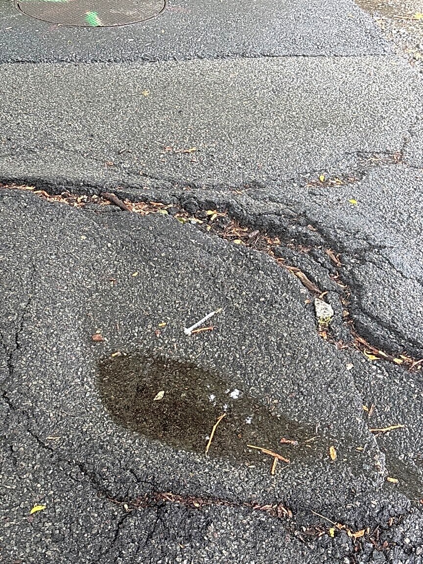 Image submitted with report
