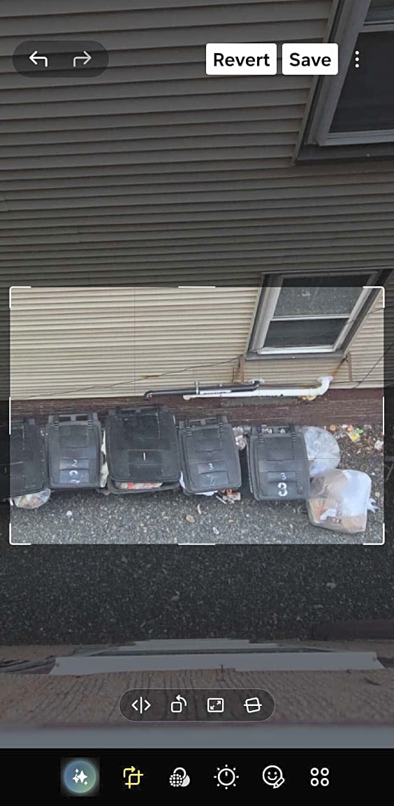 Image submitted with report