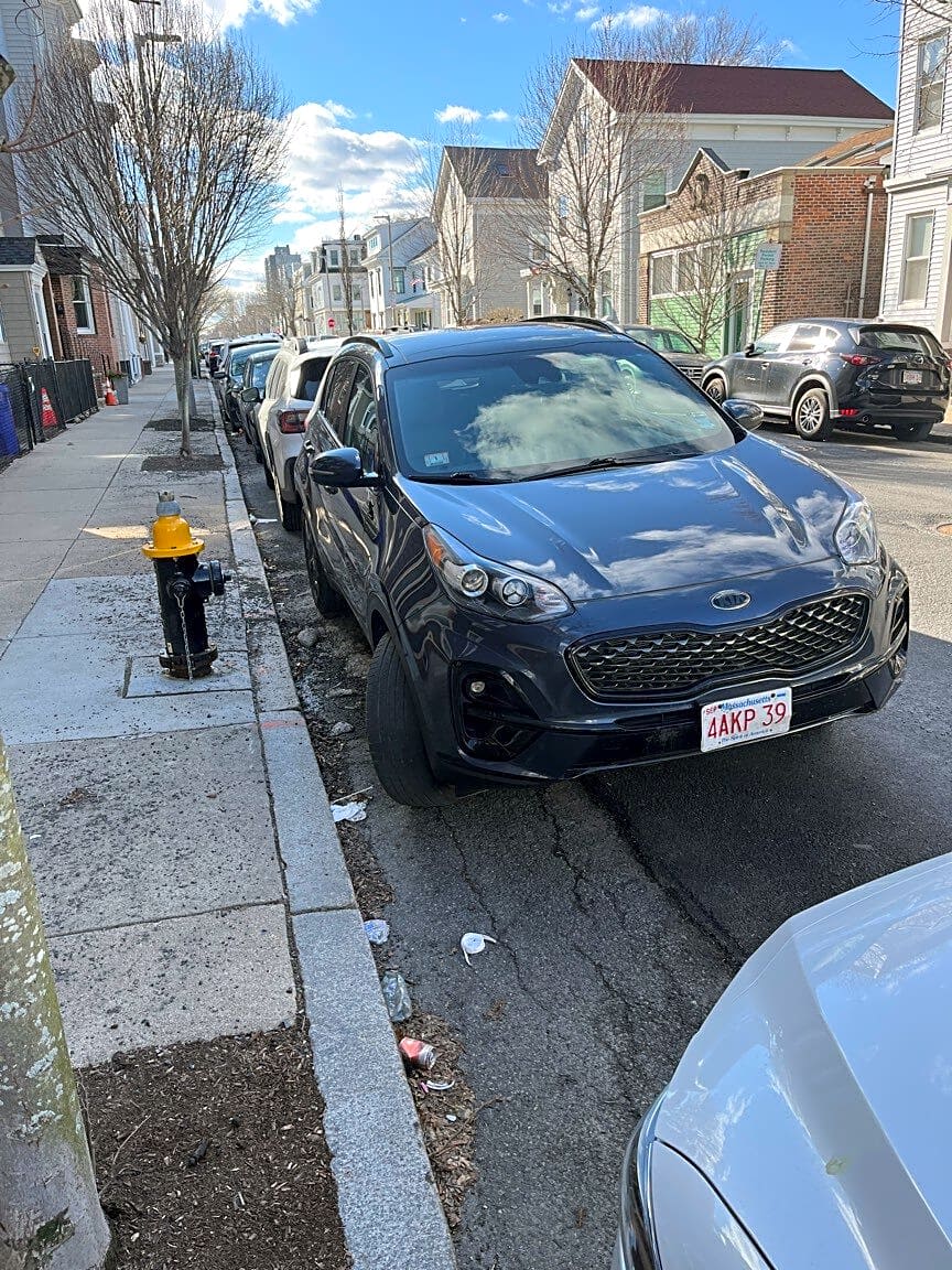 Image submitted with report