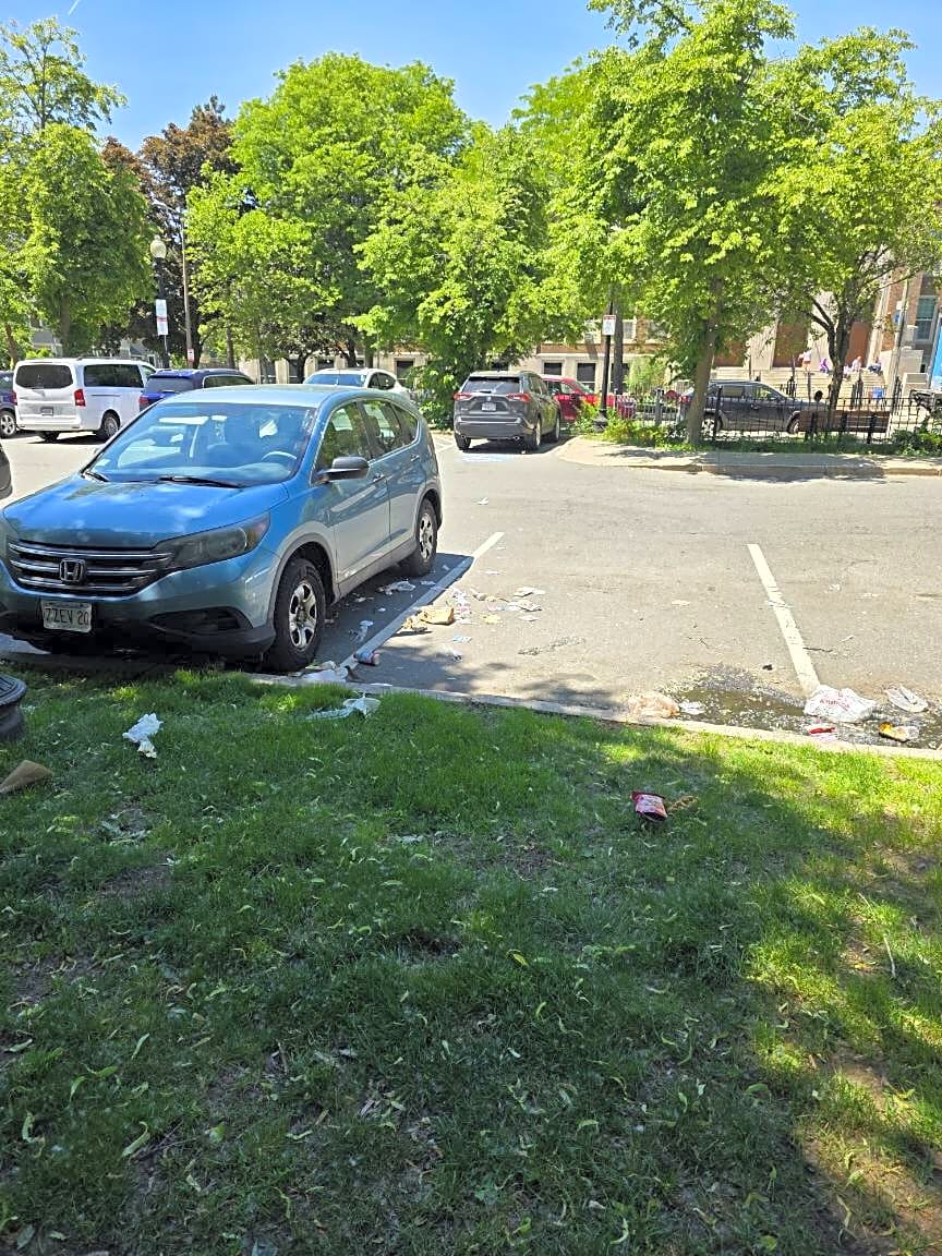 Image submitted with report
