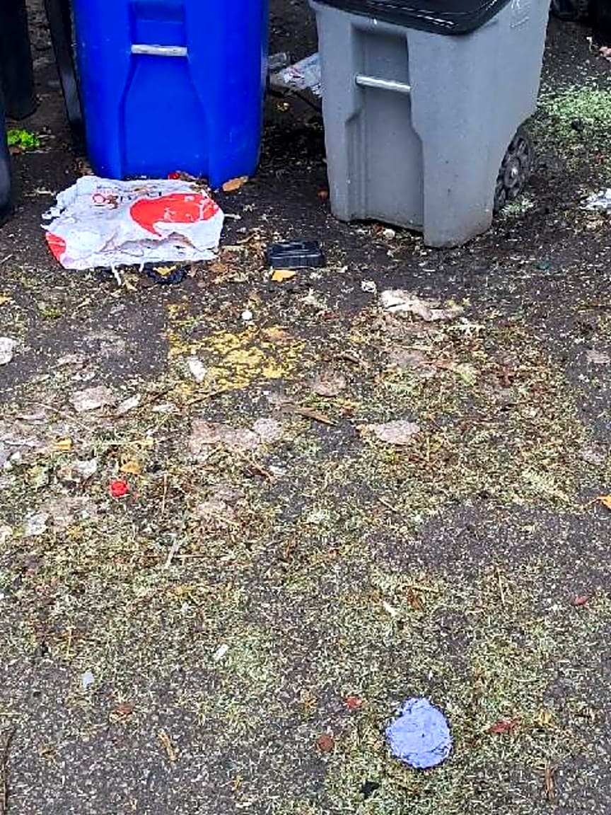 Image submitted with report