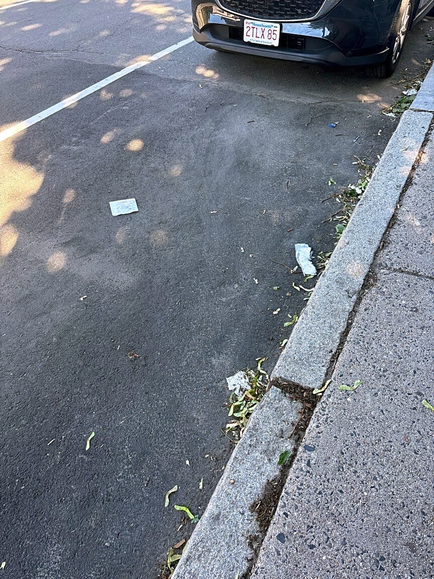 Image submitted with report