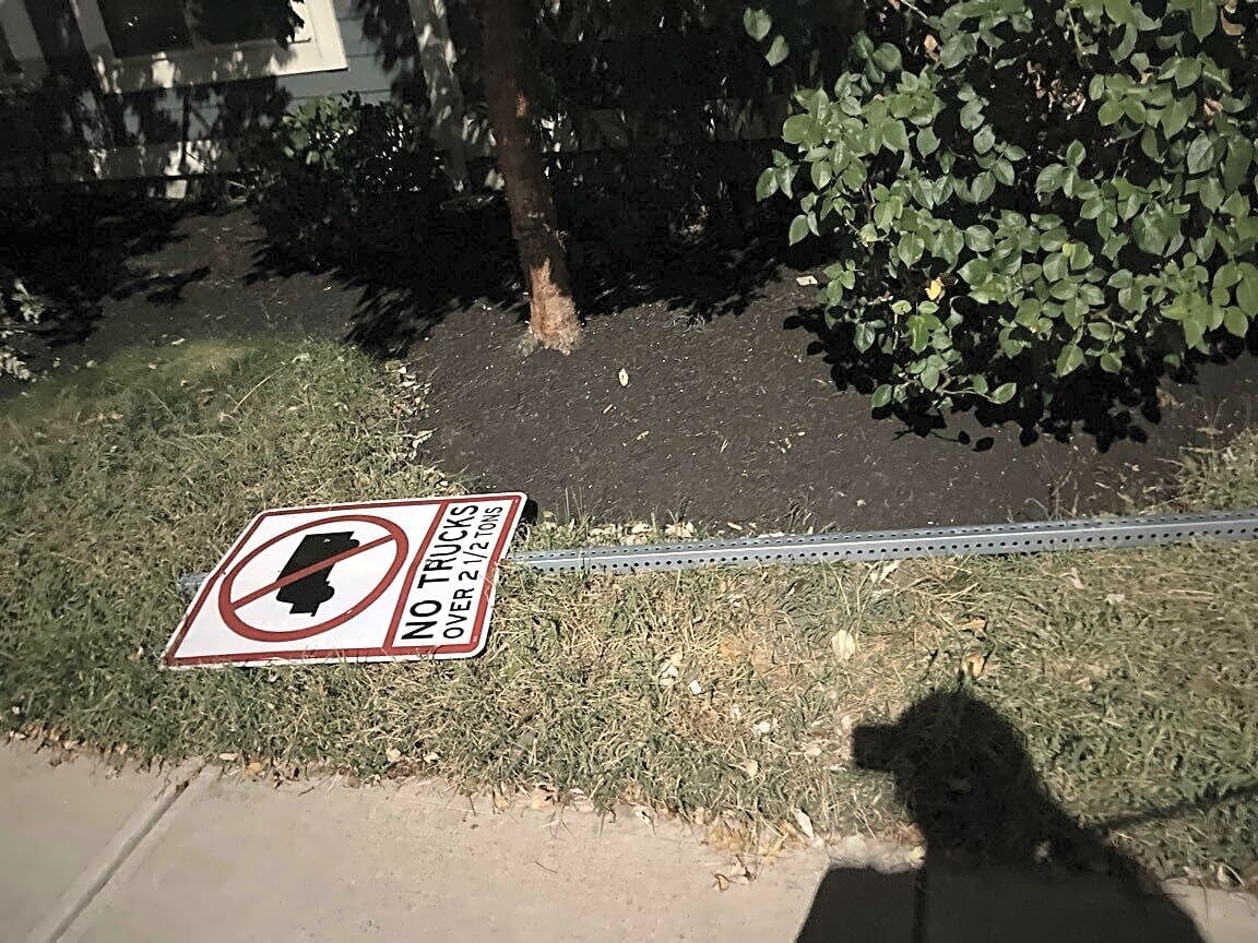 Image submitted with report