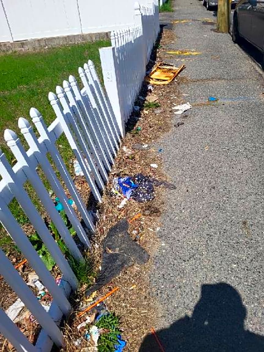 Image submitted with report