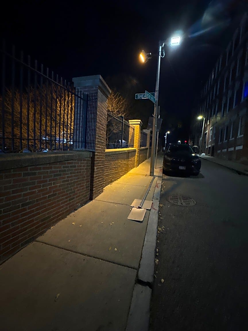 Image submitted with report