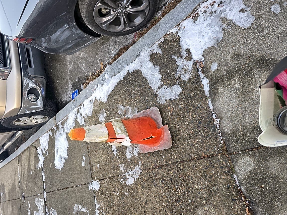 Image submitted with report