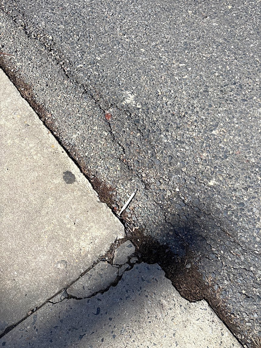 Image submitted with report