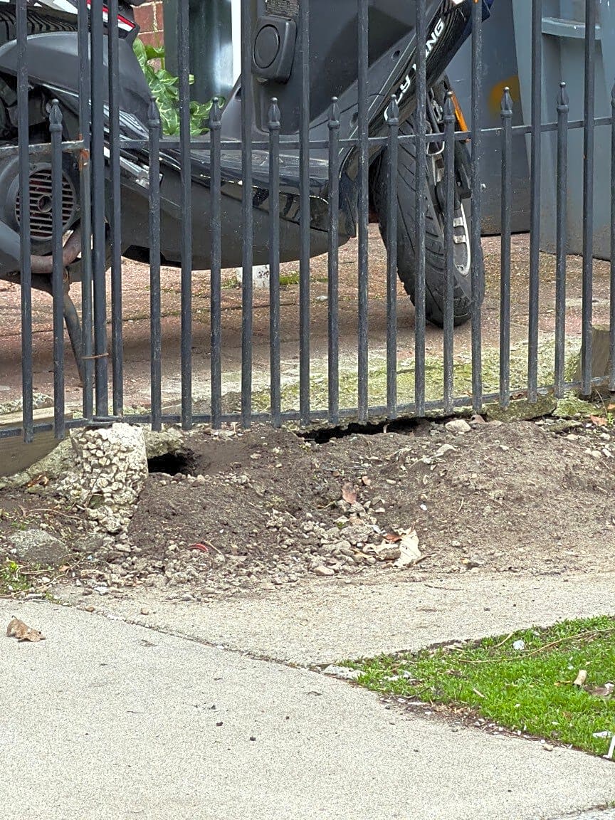 Image submitted with report