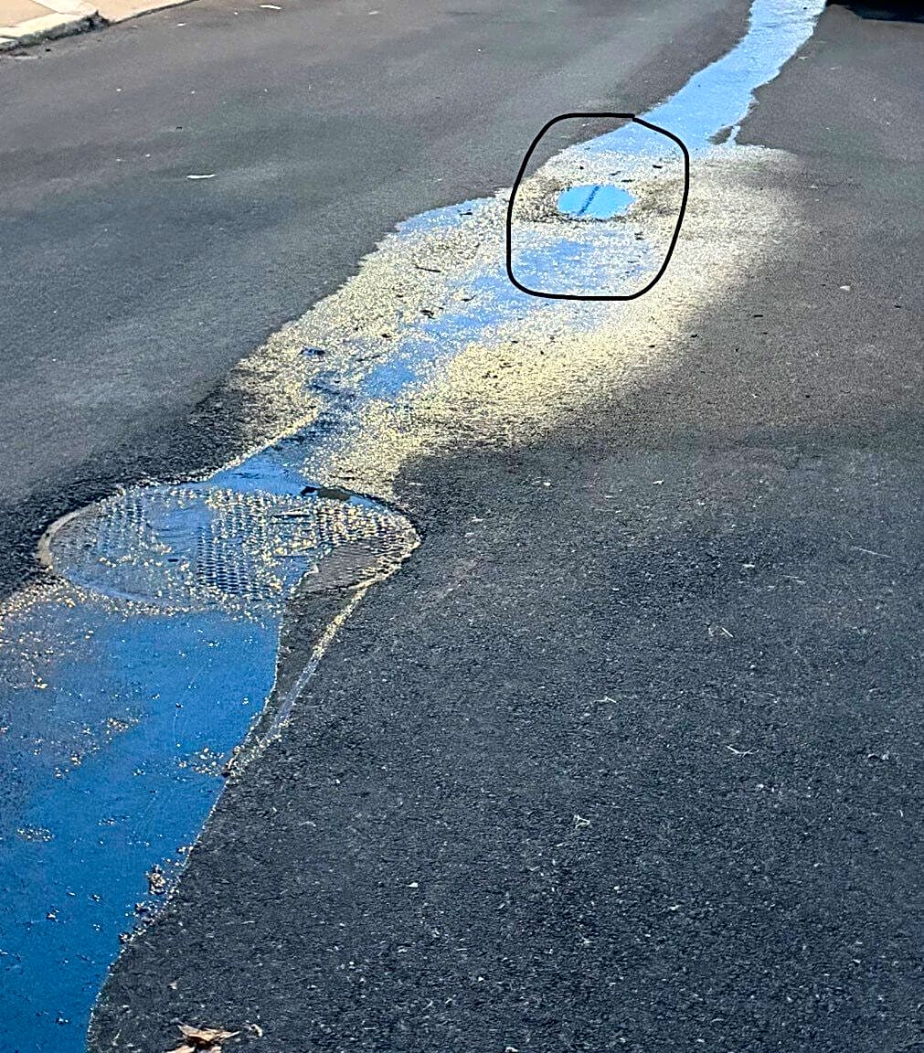 Image submitted with report